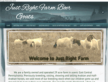 Tablet Screenshot of justrightfarmboergoats.com